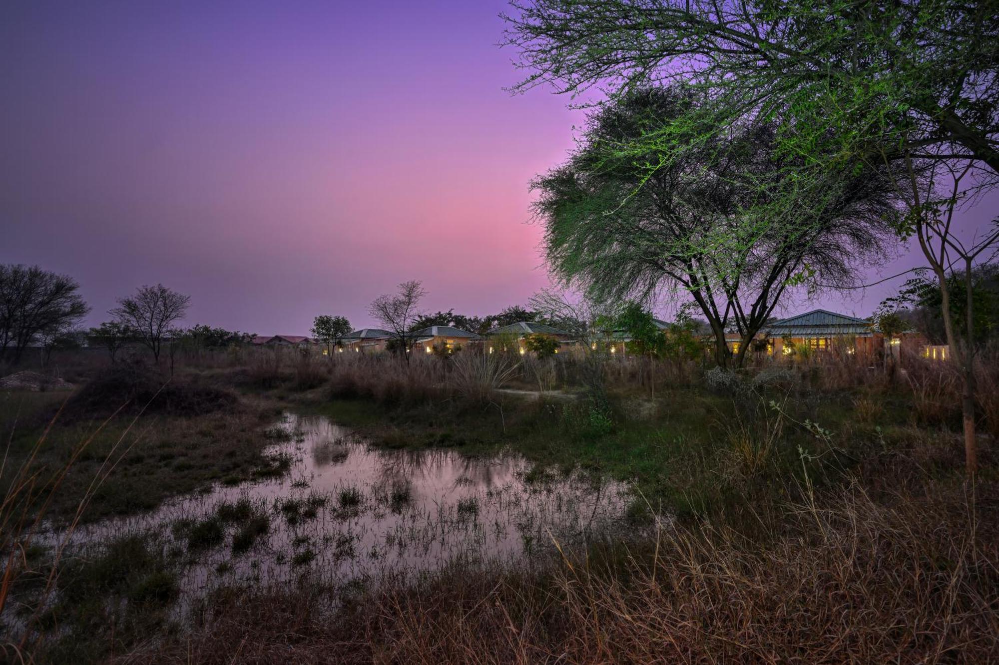 Bagh Serai - Rustic Cottage With Private Pool Sawai Madhopur Exterior photo